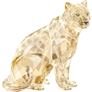 SCS A.E. 2019 Amur Leopard Sofia